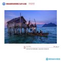 為了明天